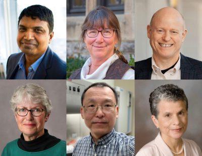  Virginia Tech re搜索ers named AAAS Fellows are: (top row, 从左起)埃里克·伯格, 南希·罗斯, 和Naren Ramakrishnan. (bottom row, from left) Barbara Ryder, Liwu Li, and Brenda Winkel. 图片由弗吉尼亚理工大学提供